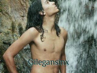 Gilegansinx