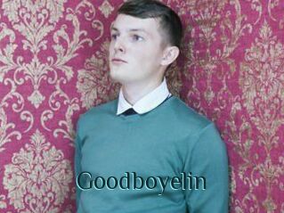 Goodboyelin