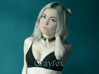 Grayfox