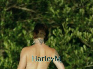 HarleyM