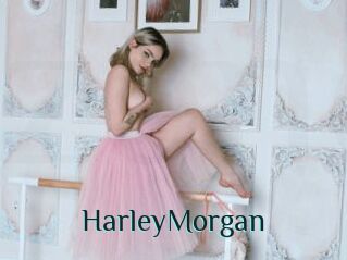 HarleyMorgan