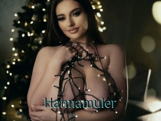 Hannamuler