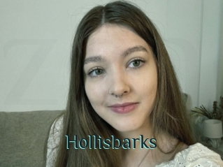 Hollisbarks