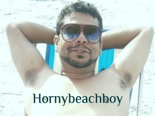 Hornybeachboy