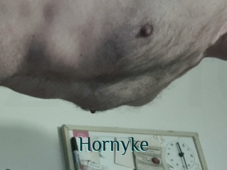 Hornyke