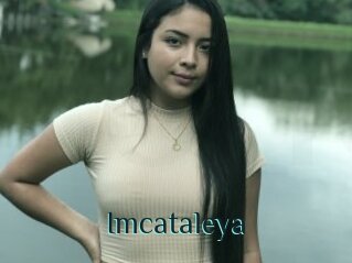 Imcataleya