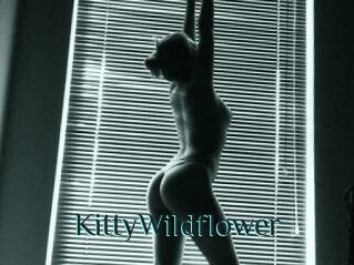 KittyWildflower