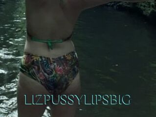 LIZPUSSYLIPSBIG