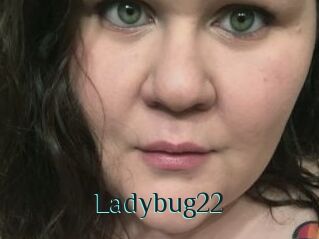 Ladybug22