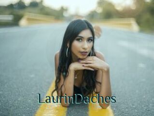 LaurinDaches