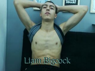 Liam_Bigcock