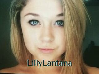 LillyLantana