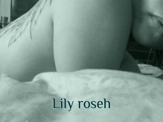 Lily_roseh