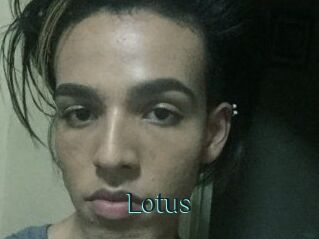 Lotus