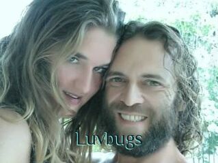 Luvbugs