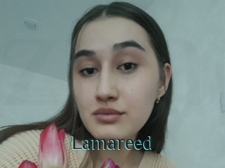 Lamareed