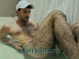 Larrygarzon