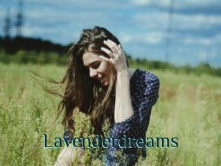 Lavenderdreams