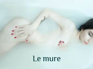 Le_mure