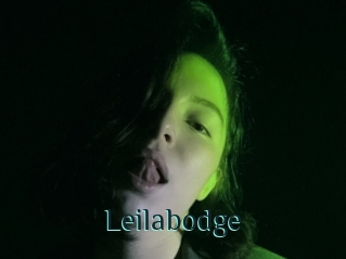 Leilabodge