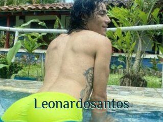 Leonardosantos