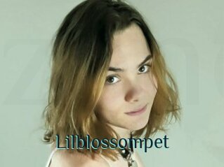 Lilblossompet