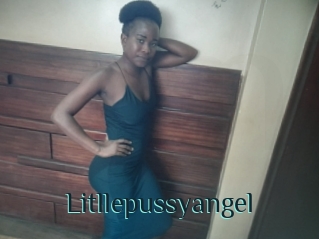 Litllepussyangel