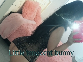 Little_innocent_bunny