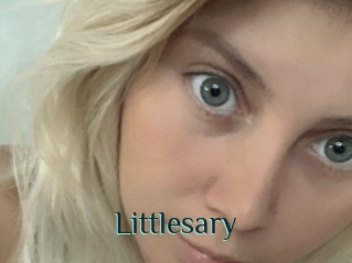 Littlesary