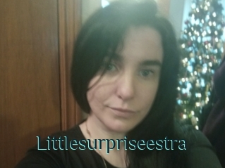 Littlesurpriseestra