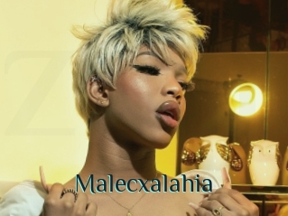 malecxalahia Zone partouze