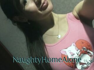 NaughtyHomeAlone