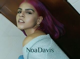 NoaDavis