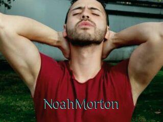 NoahMorton