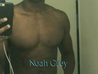 Noah_Grey