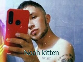 Noah_kitten