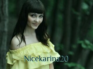 Nicekarina20