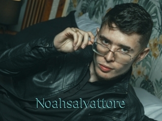 Noahsalvattore