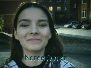 Noreenborer