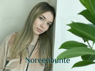 Noreenbunte