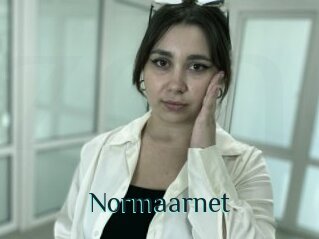 Normaarnet