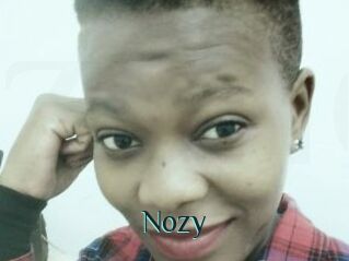 Nozy