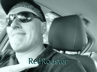 RedRooster