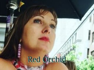 Red_Orchid