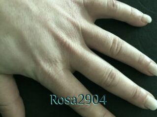 Rosa2904