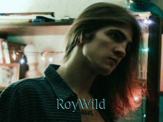 RoyWild