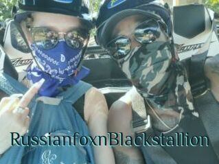 RussianfoxnBlackstallion