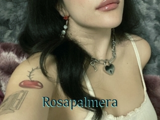 Rosapalmera