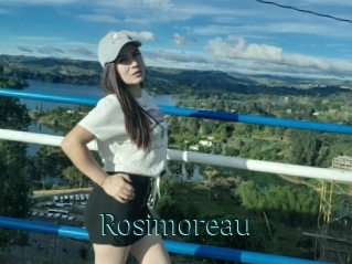 Rosimoreau