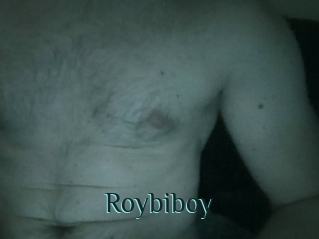 Roybiboy